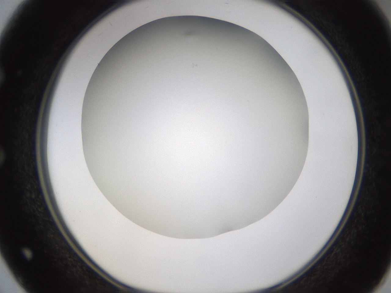 folderID371_plateID1371_batchID4735_wellNum50_profileID1_d1_r83489_ef.jpg
