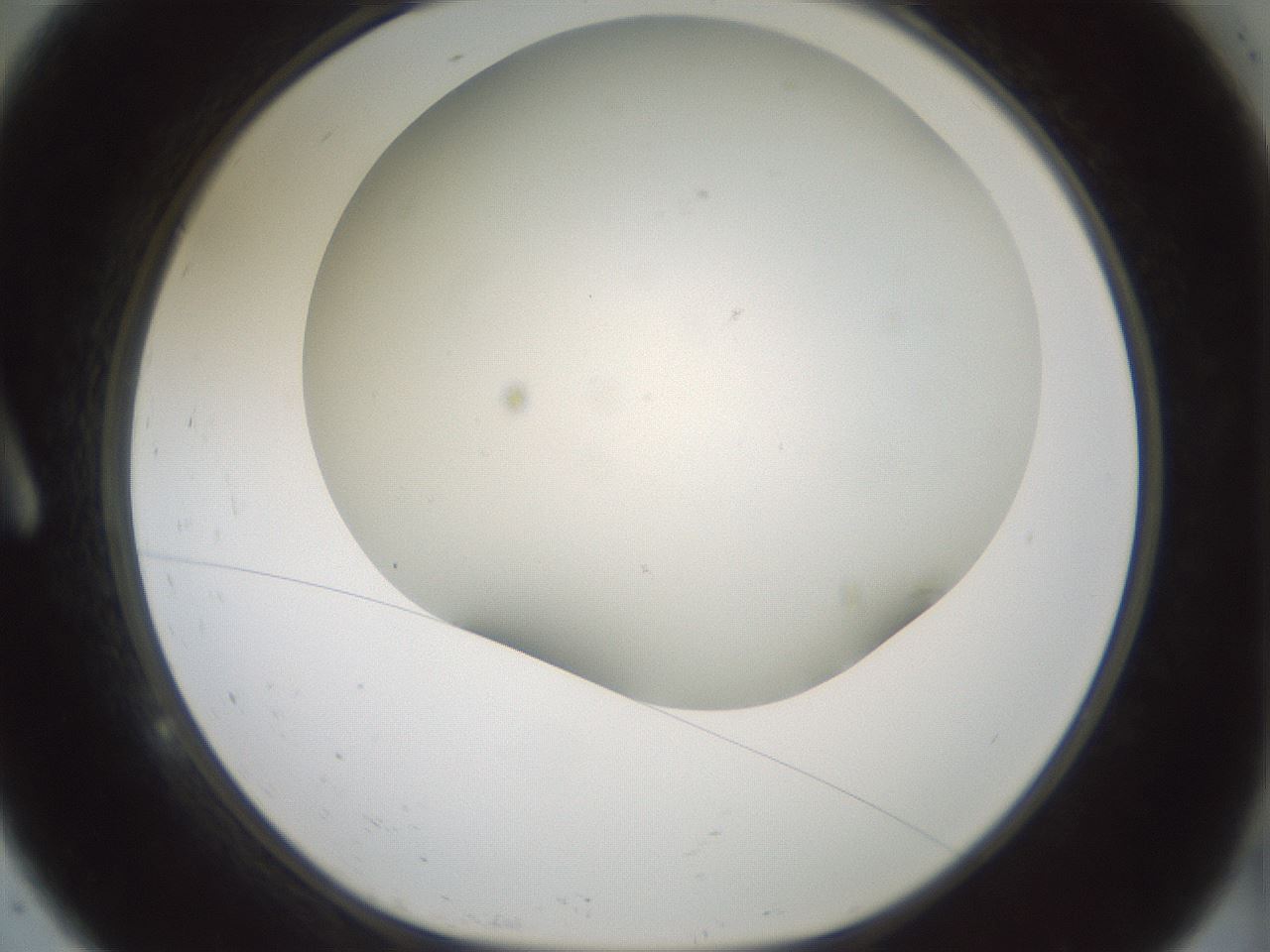 folderID370_plateID1370_batchID4736_wellNum9_profileID1_d1_r83544_ef.jpg