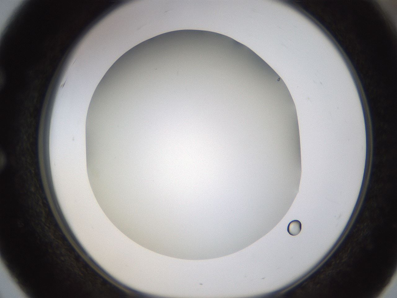 folderID371_plateID1371_batchID4735_wellNum51_profileID1_d1_r83490_ef.jpg