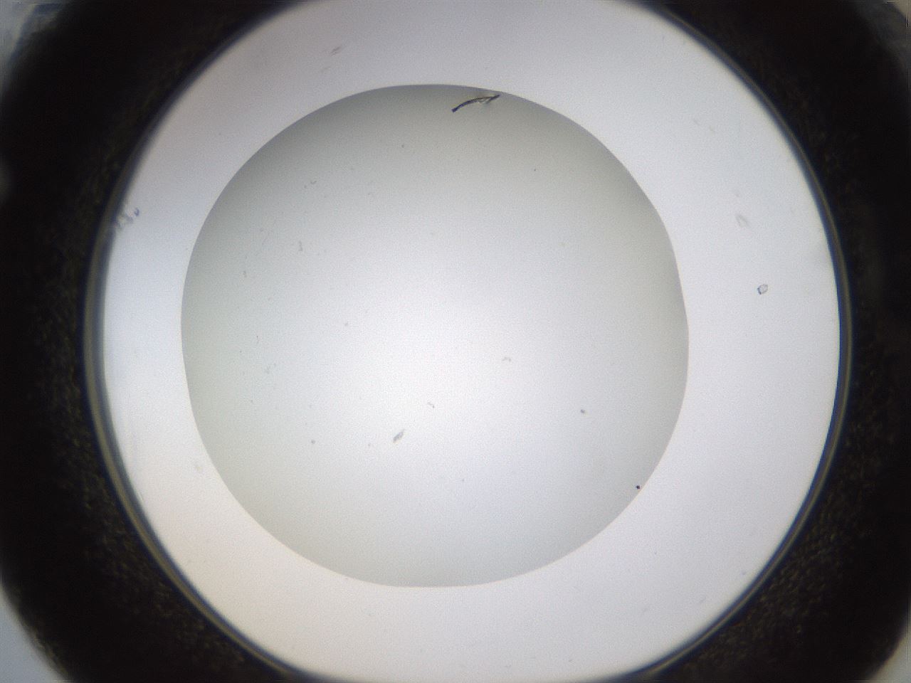 folderID371_plateID1371_batchID4735_wellNum61_profileID1_d1_r83500_ef.jpg