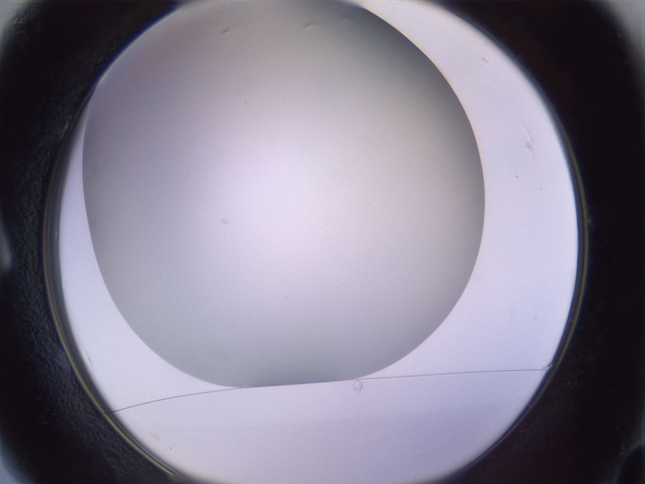 folderID372_plateID1372_batchID4734_wellNum1_profileID1_d1_r83344_ef.jpg