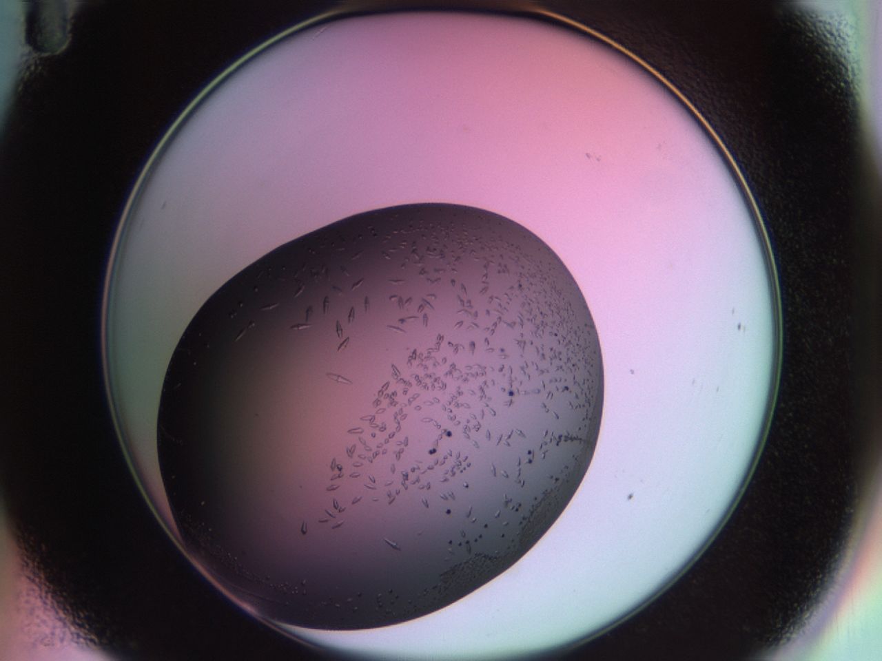 02kl_B11_ImagerDefaults_9.jpg