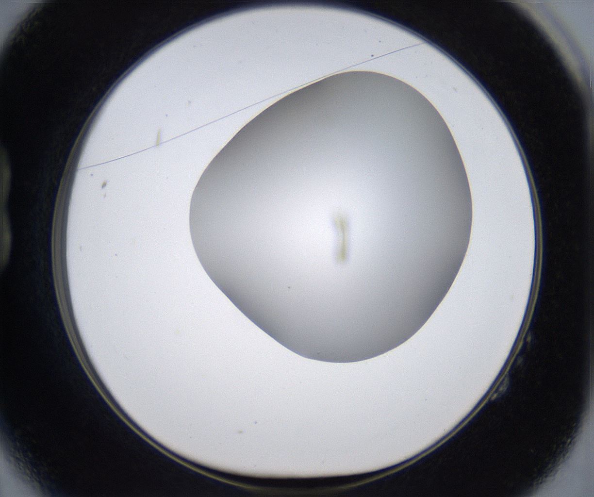 folderID373_plateID2373_batchID11191_wellNum14_profileID1_d1_r175280_ef.jpg