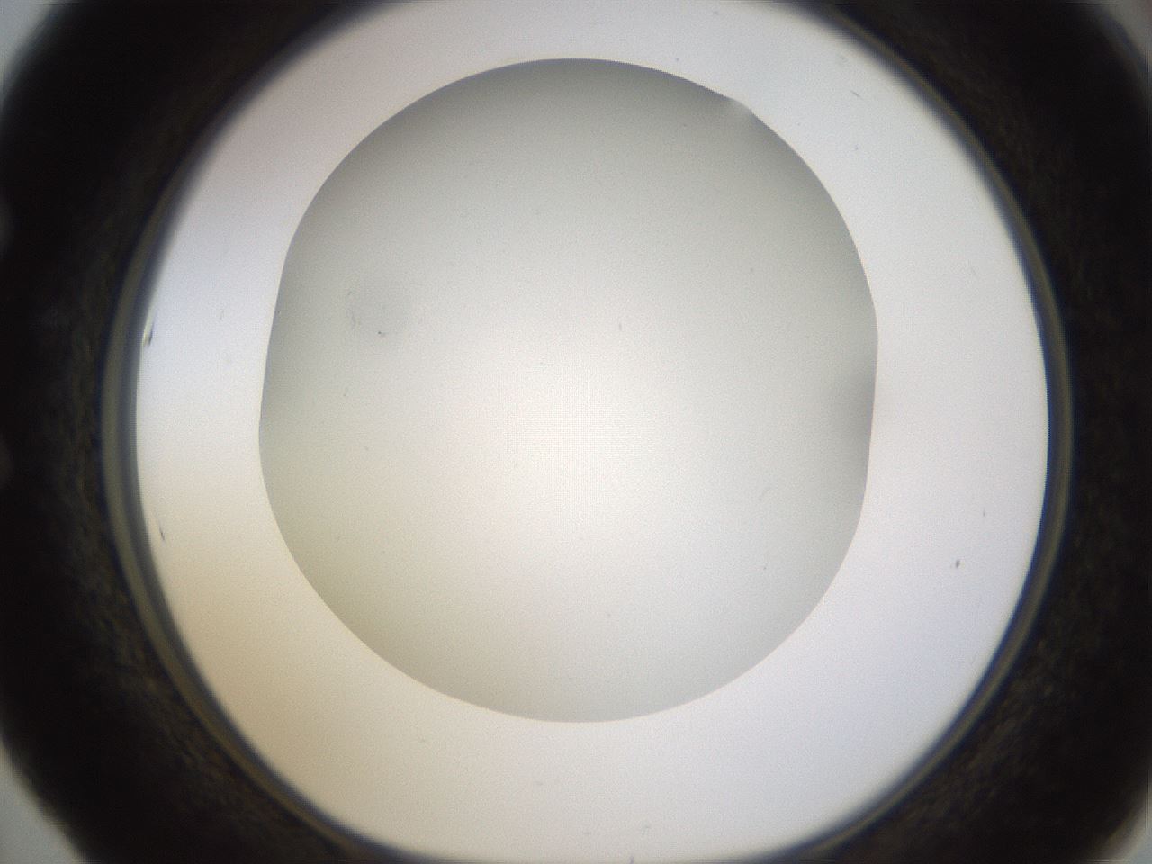 folderID371_plateID1371_batchID4735_wellNum53_profileID1_d1_r83492_ef.jpg