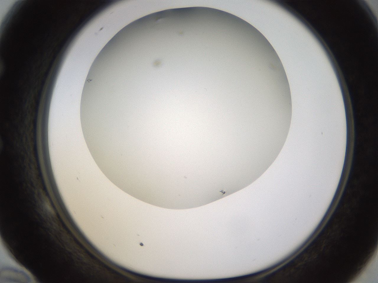 folderID371_plateID1371_batchID4735_wellNum58_profileID1_d1_r83497_ef.jpg