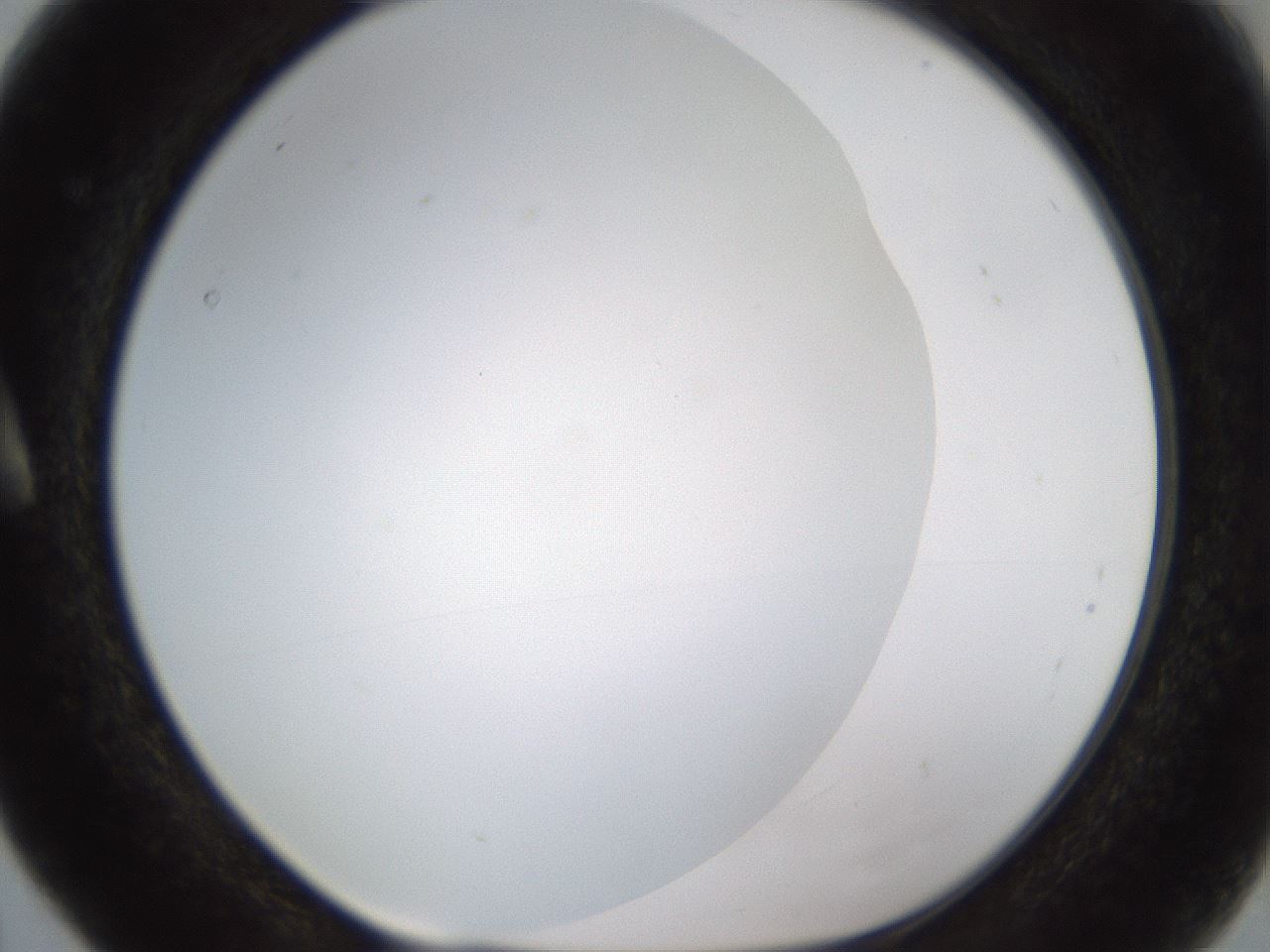 folderID371_plateID1371_batchID4735_wellNum5_profileID1_d1_r83444_ef.jpg
