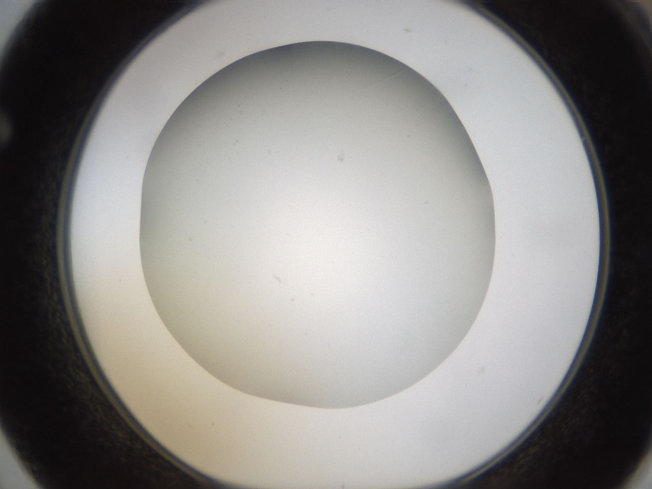 folderID371_plateID1371_batchID4735_wellNum62_profileID1_d1_r83501_ef.jpg