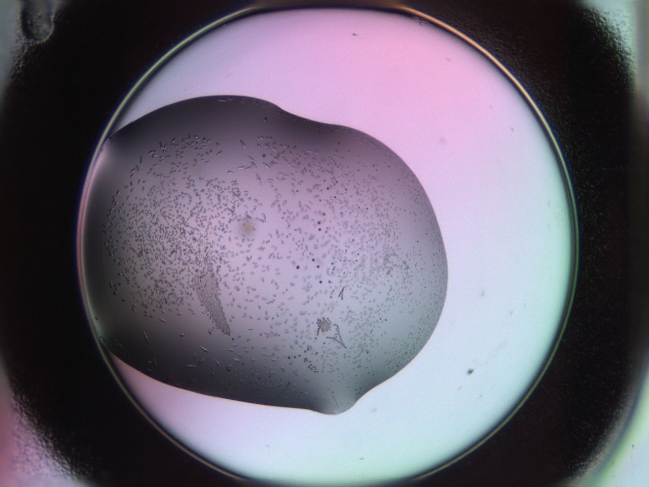 02kl_A11_ImagerDefaults_9.jpg