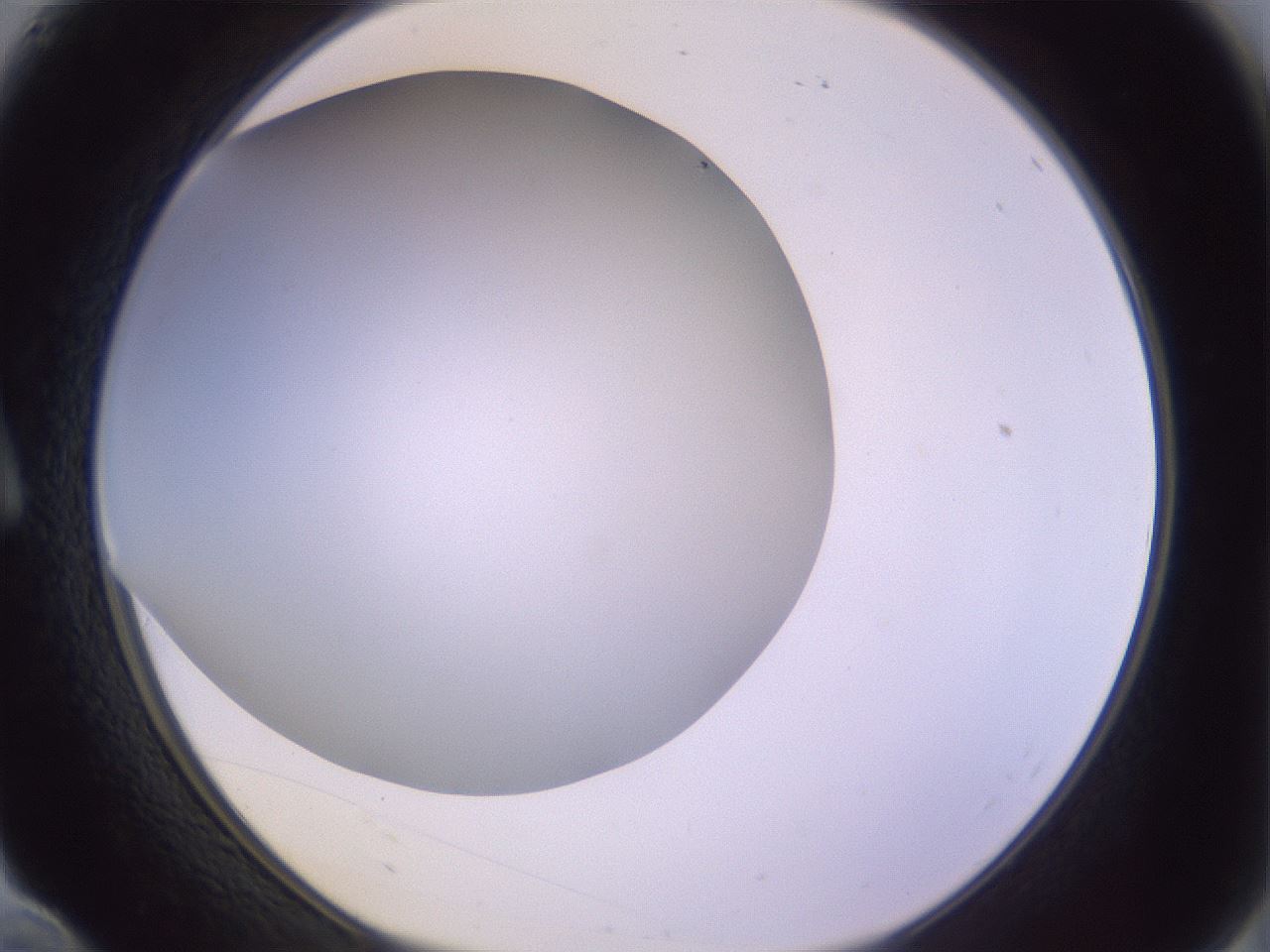 folderID372_plateID1372_batchID4734_wellNum10_profileID1_d1_r83353_ef.jpg