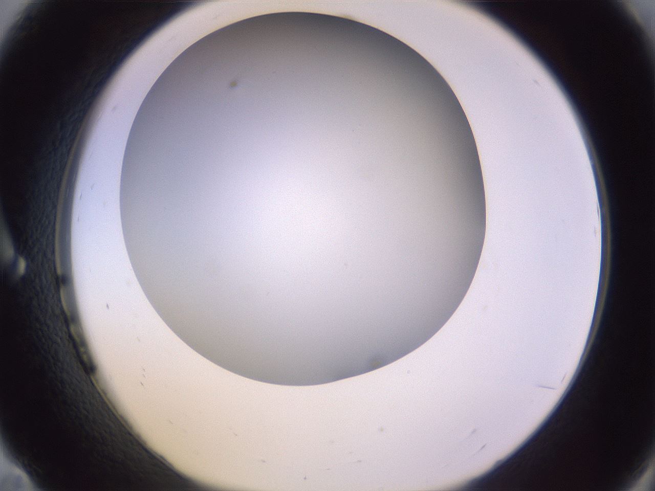 folderID372_plateID1372_batchID4734_wellNum11_profileID1_d1_r83354_ef.jpg