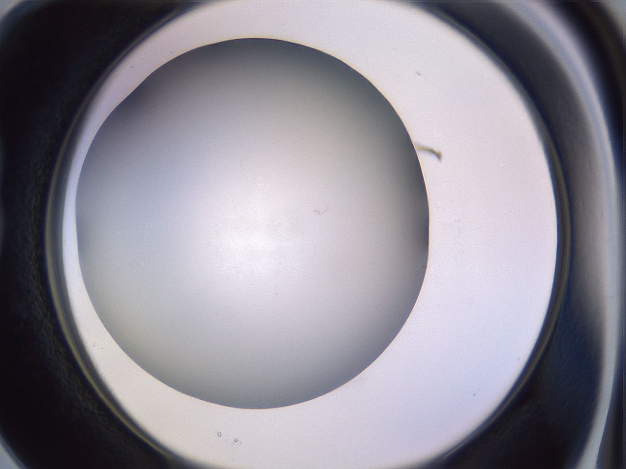 folderID372_plateID1372_batchID4734_wellNum15_profileID1_d1_r83358_ef.jpg