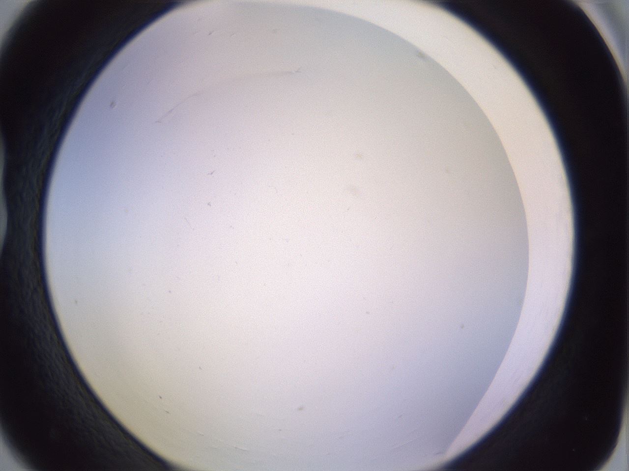folderID372_plateID1372_batchID4734_wellNum18_profileID1_d1_r83361_ef.jpg