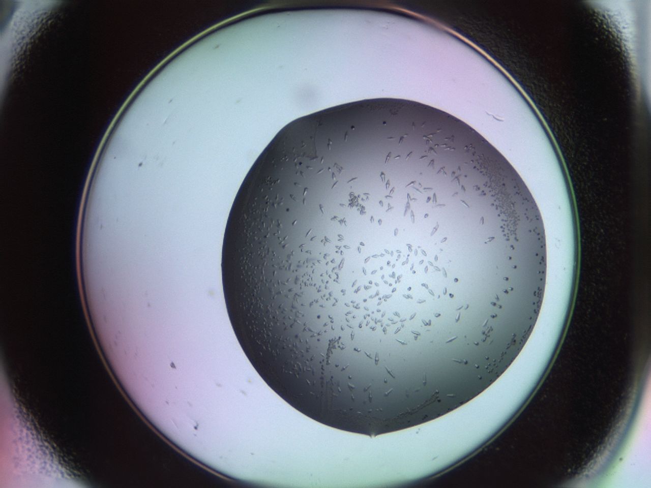 02kl_A9_ImagerDefaults_9.jpg