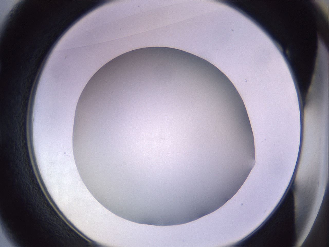 folderID372_plateID1372_batchID4734_wellNum49_profileID1_d1_r83392_ef.jpg