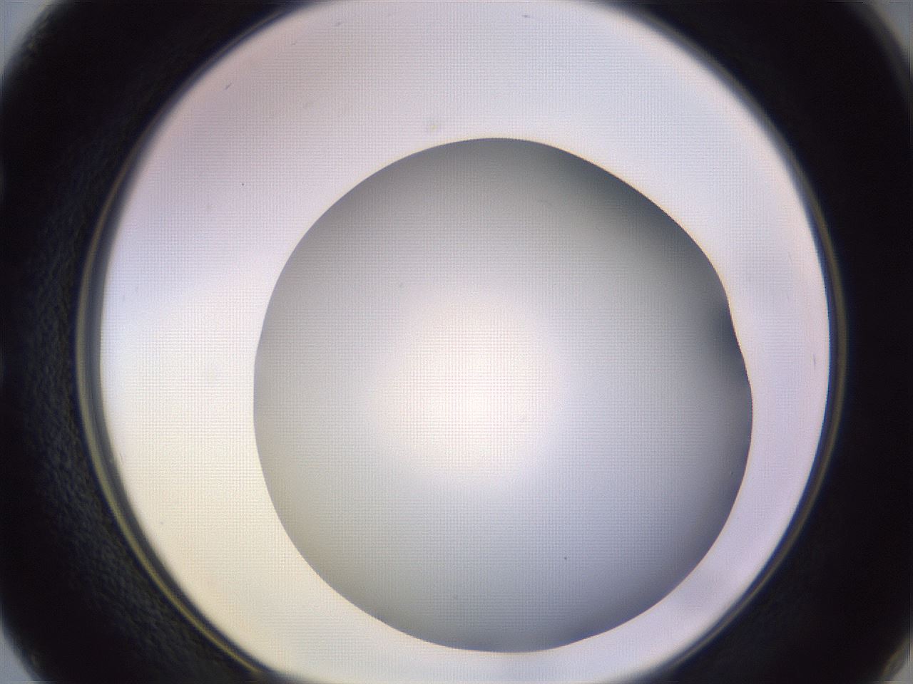 folderID372_plateID1372_batchID4734_wellNum50_profileID1_d1_r83393_ef.jpg