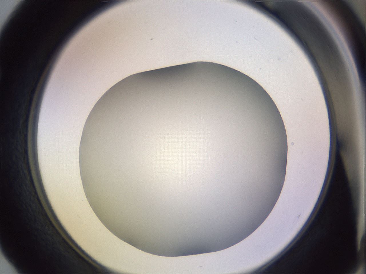 folderID372_plateID1372_batchID4734_wellNum52_profileID1_d1_r83395_ef.jpg