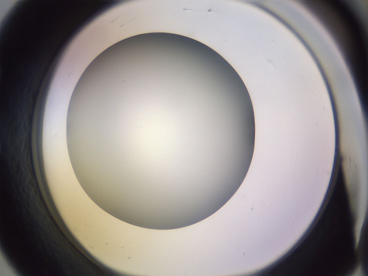 folderID372_plateID1372_batchID4734_wellNum56_profileID1_d1_r83399_ef.jpg