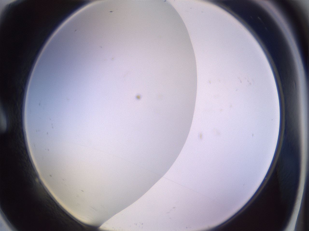 folderID372_plateID1372_batchID4734_wellNum9_profileID1_d1_r83352_ef.jpg