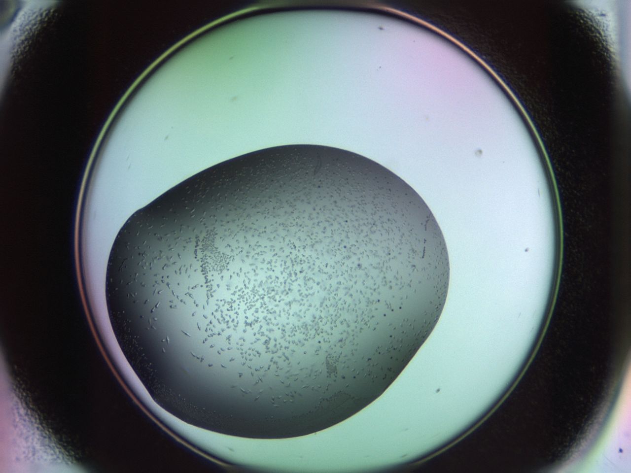 02kl_A8_ImagerDefaults_9.jpg
