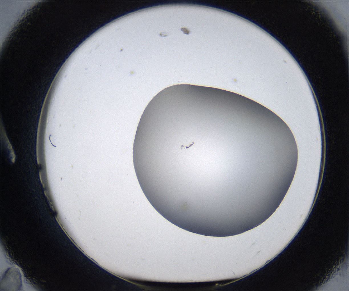 folderID373_plateID2373_batchID11191_wellNum11_profileID1_d1_r175277_ef.jpg