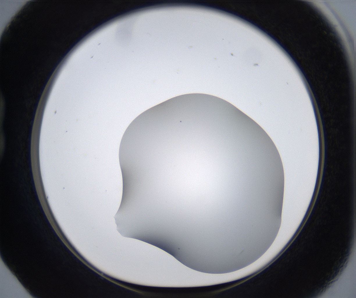 folderID373_plateID2373_batchID11191_wellNum17_profileID1_d1_r175283_ef.jpg