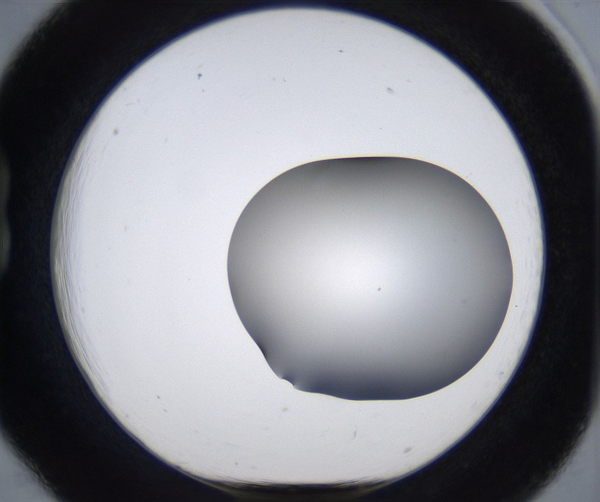 folderID373_plateID2373_batchID11191_wellNum18_profileID1_d1_r175284_ef.jpg