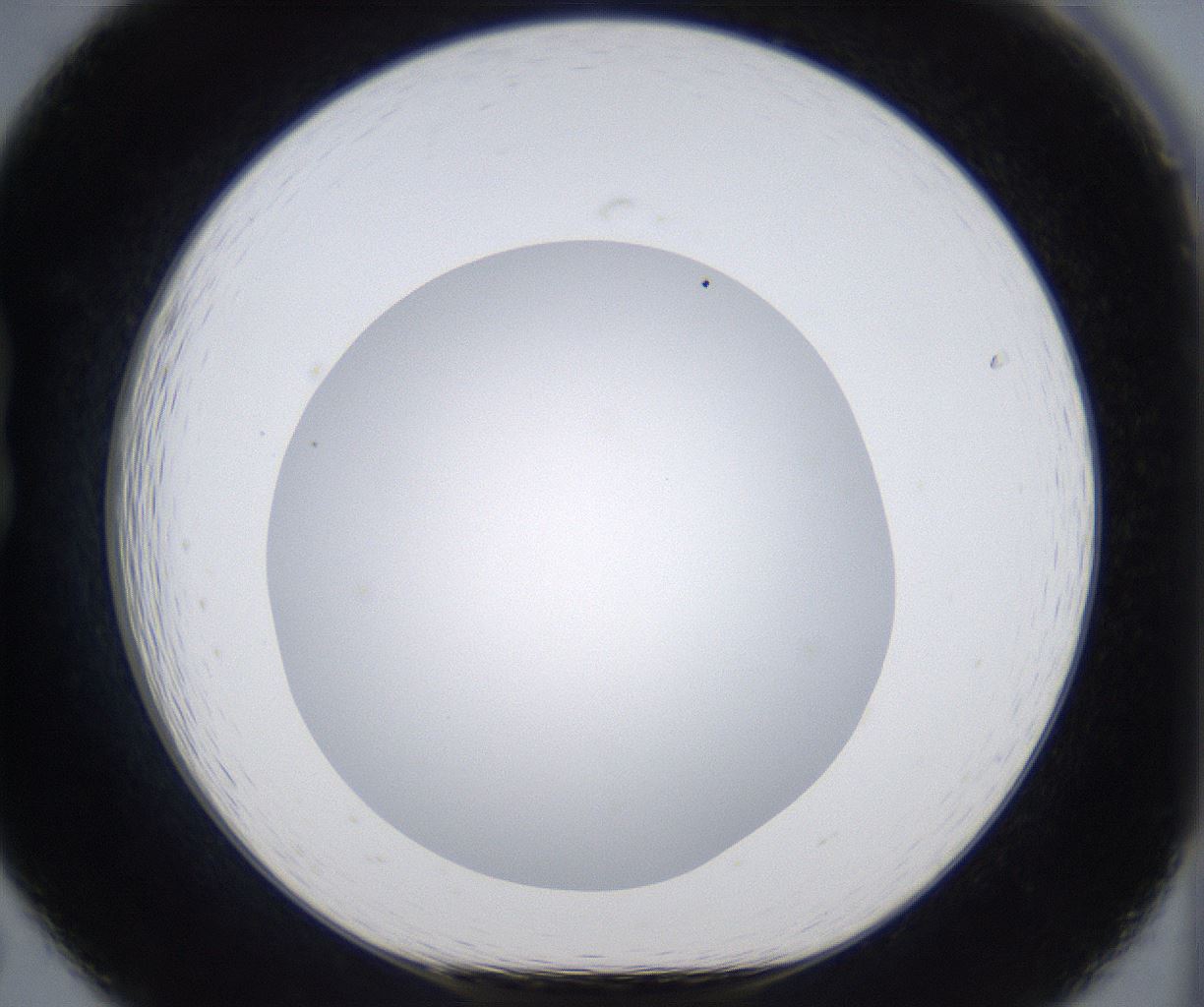 folderID373_plateID2373_batchID11191_wellNum19_profileID1_d1_r175285_ef.jpg