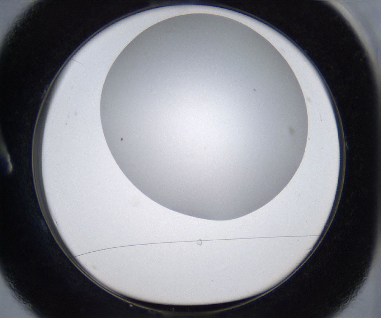 folderID373_plateID2373_batchID11191_wellNum1_profileID1_d1_r175267_ef.jpg