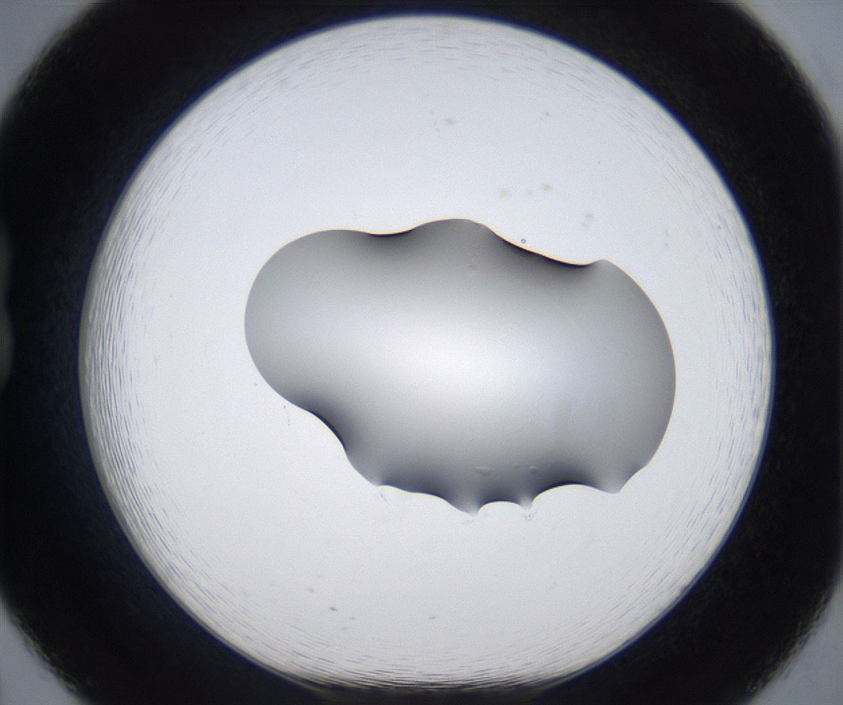 folderID373_plateID2373_batchID11191_wellNum20_profileID1_d1_r175286_ef.jpg