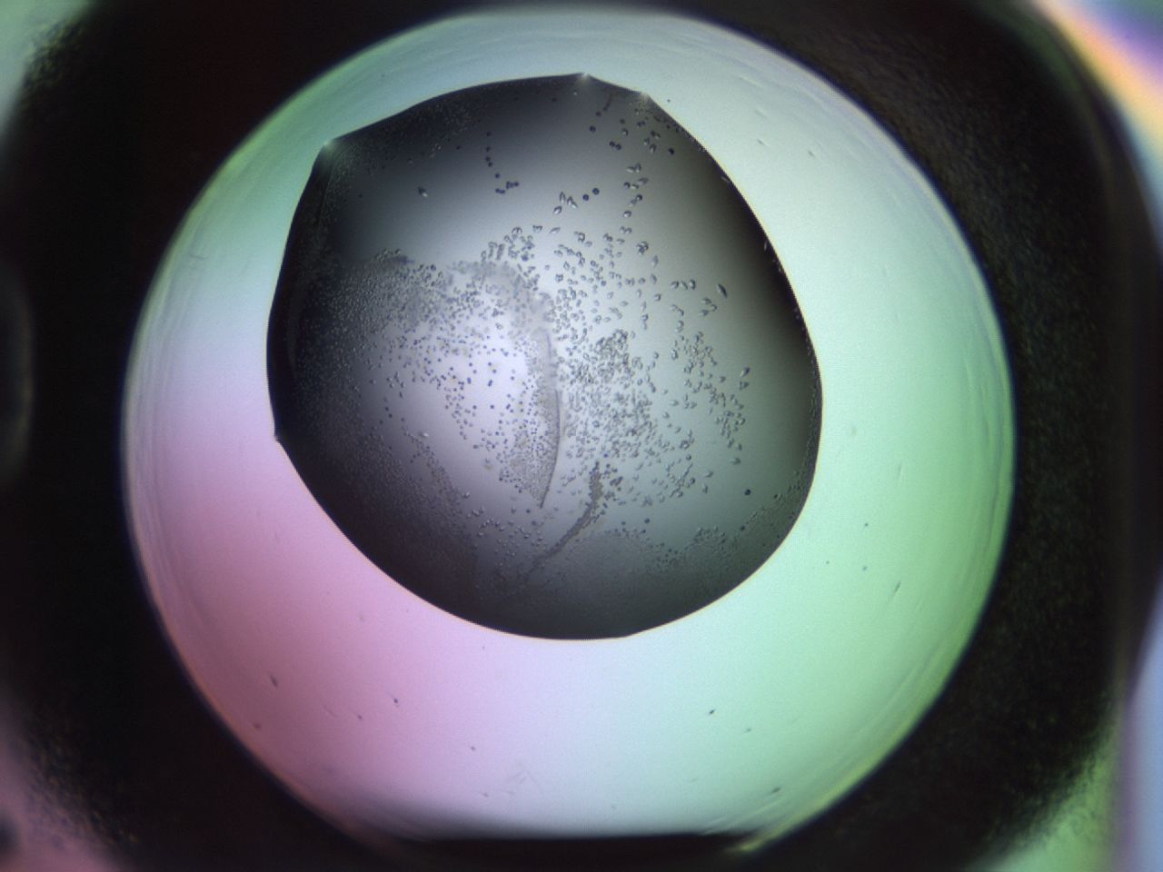 02kl_D5_ImagerDefaults_9.jpg