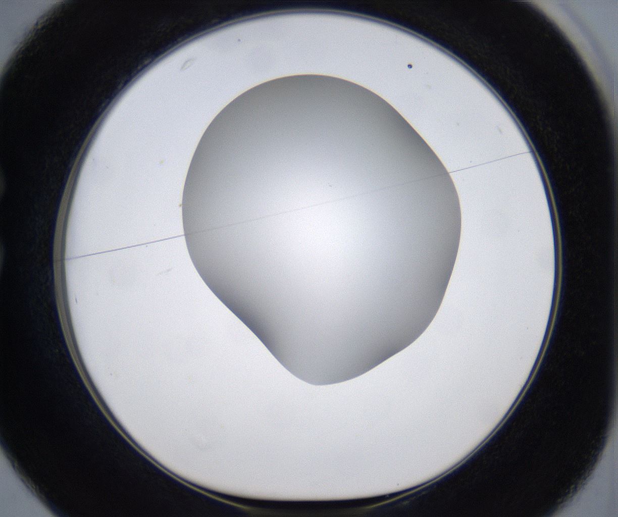 folderID373_plateID2373_batchID11191_wellNum25_profileID1_d1_r175291_ef.jpg