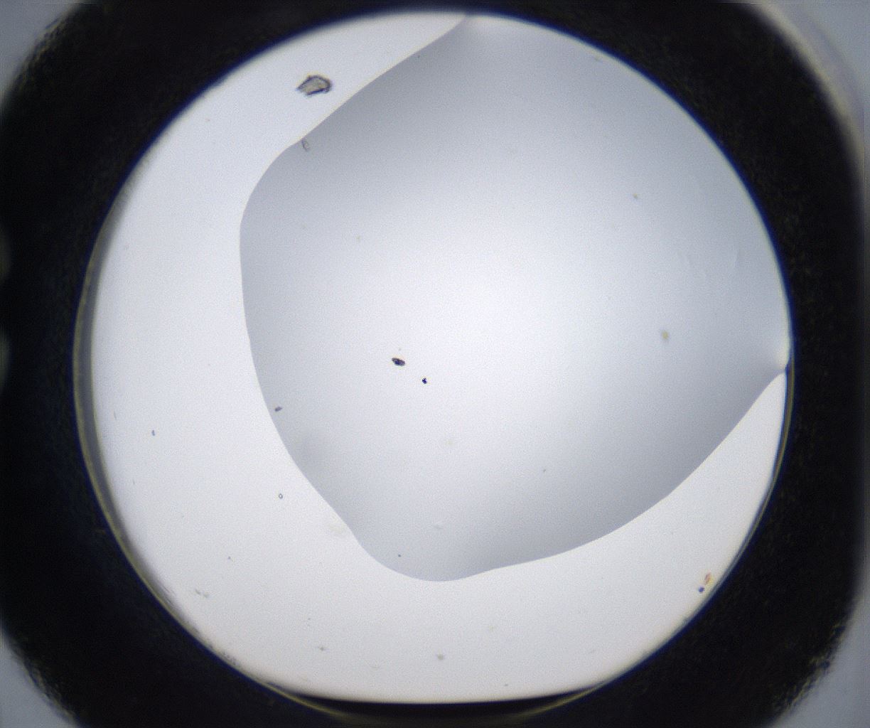 folderID373_plateID2373_batchID11191_wellNum26_profileID1_d1_r175292_ef.jpg