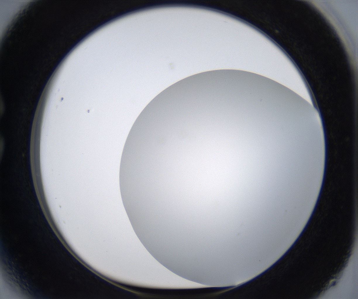 folderID373_plateID2373_batchID11191_wellNum27_profileID1_d1_r175293_ef.jpg