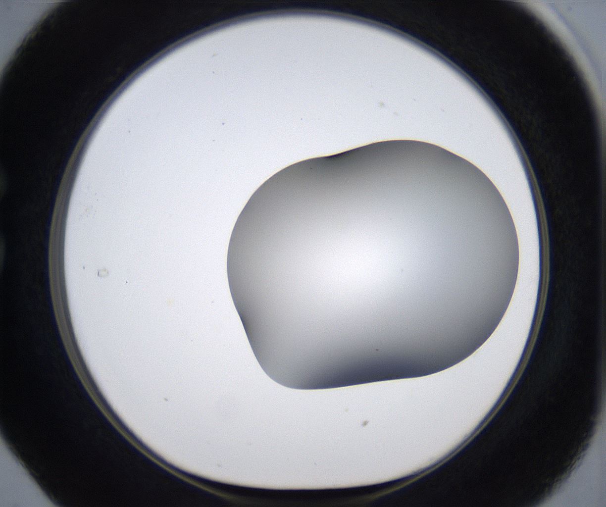 folderID373_plateID2373_batchID11191_wellNum29_profileID1_d1_r175295_ef.jpg