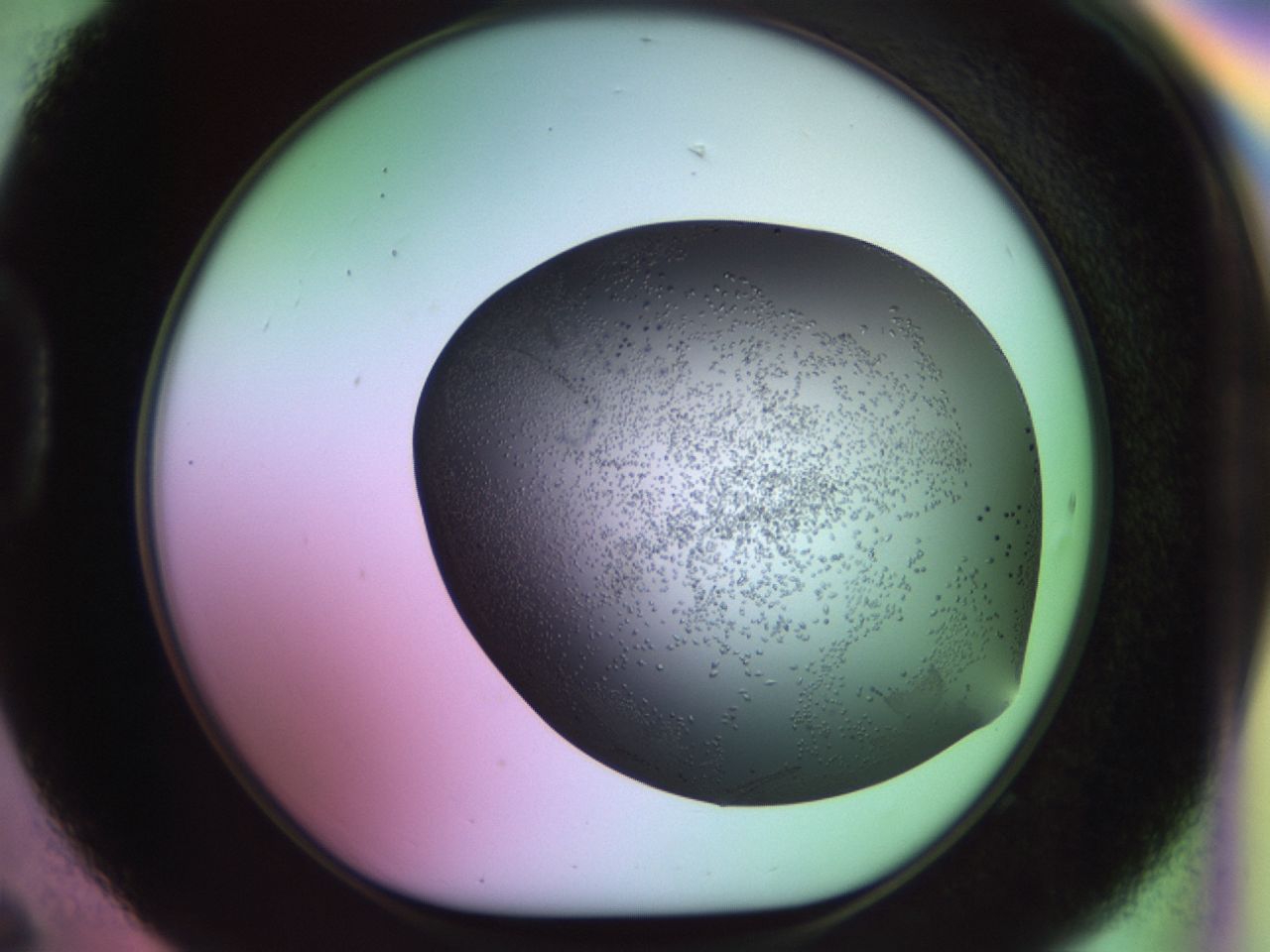 02kl_D6_ImagerDefaults_9.jpg