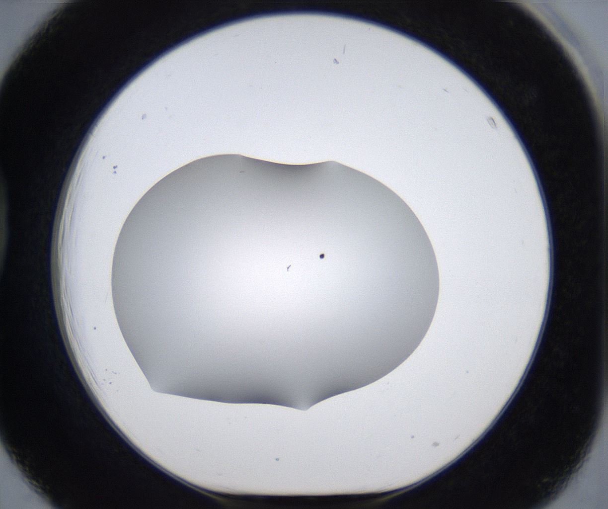 folderID373_plateID2373_batchID11191_wellNum39_profileID1_d1_r175305_ef.jpg