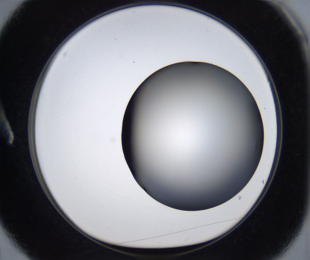 folderID373_plateID2373_batchID11191_wellNum3_profileID1_d1_r175269_ef.jpg