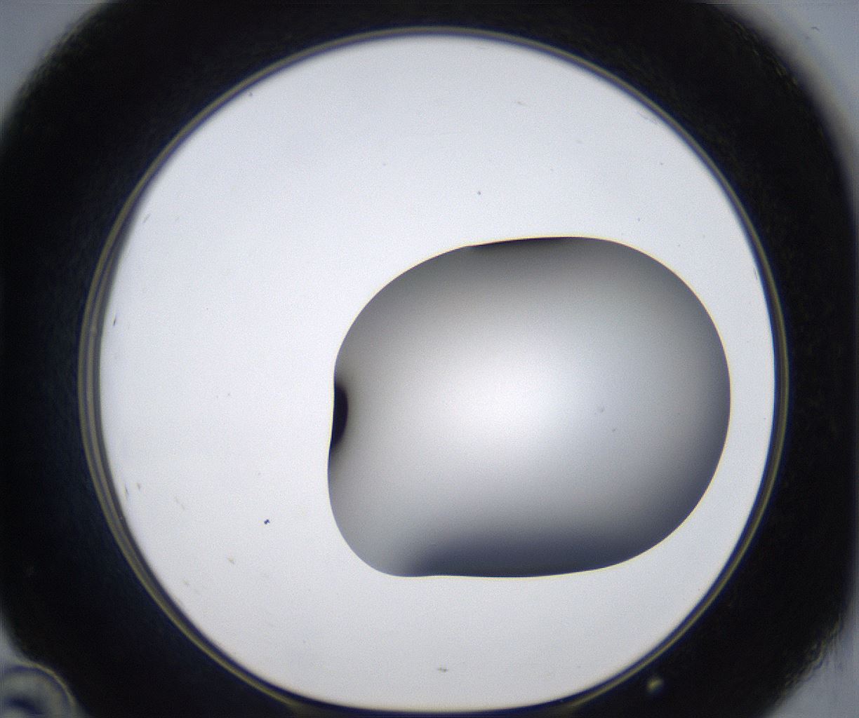 folderID373_plateID2373_batchID11191_wellNum46_profileID1_d1_r175312_ef.jpg