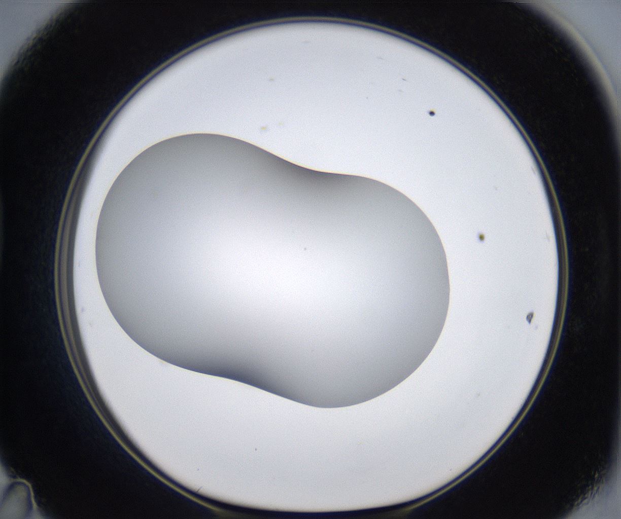 folderID373_plateID2373_batchID11191_wellNum47_profileID1_d1_r175313_ef.jpg