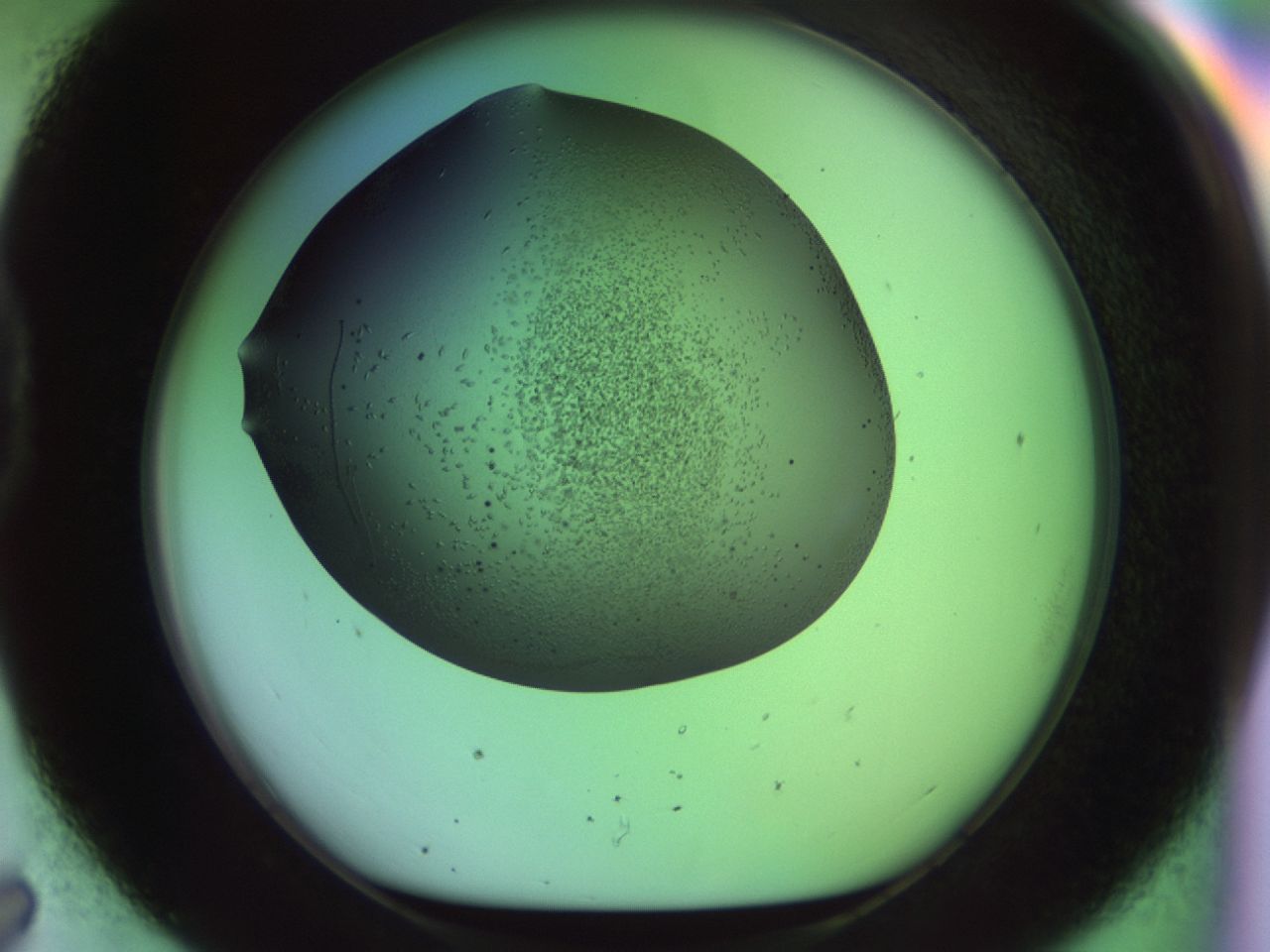 02kl_D7_ImagerDefaults_9.jpg