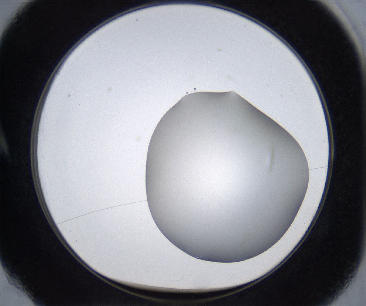 folderID373_plateID2373_batchID11191_wellNum4_profileID1_d1_r175270_ef.jpg