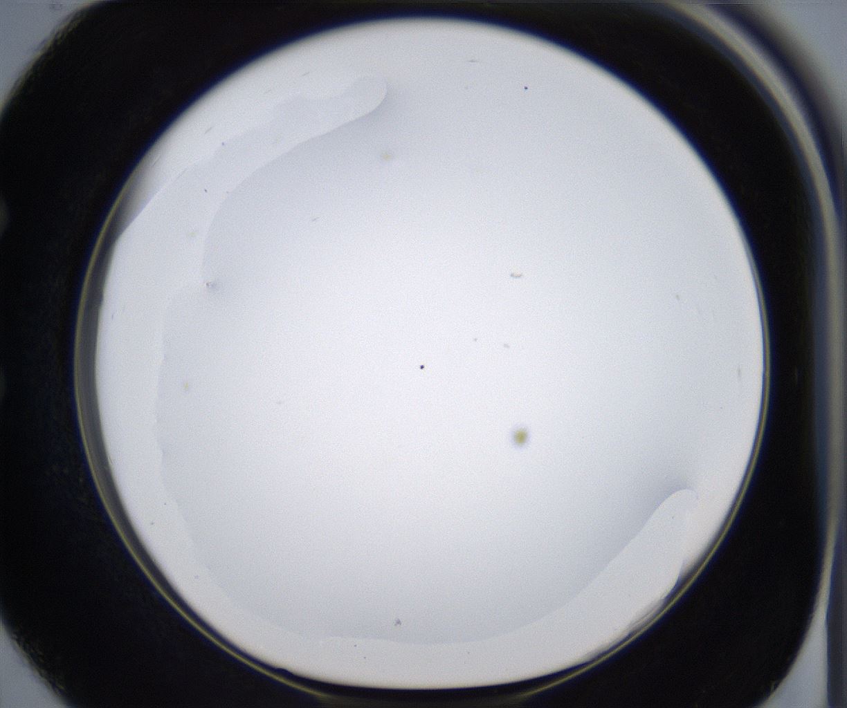 folderID373_plateID2373_batchID11191_wellNum50_profileID1_d1_r175316_ef.jpg