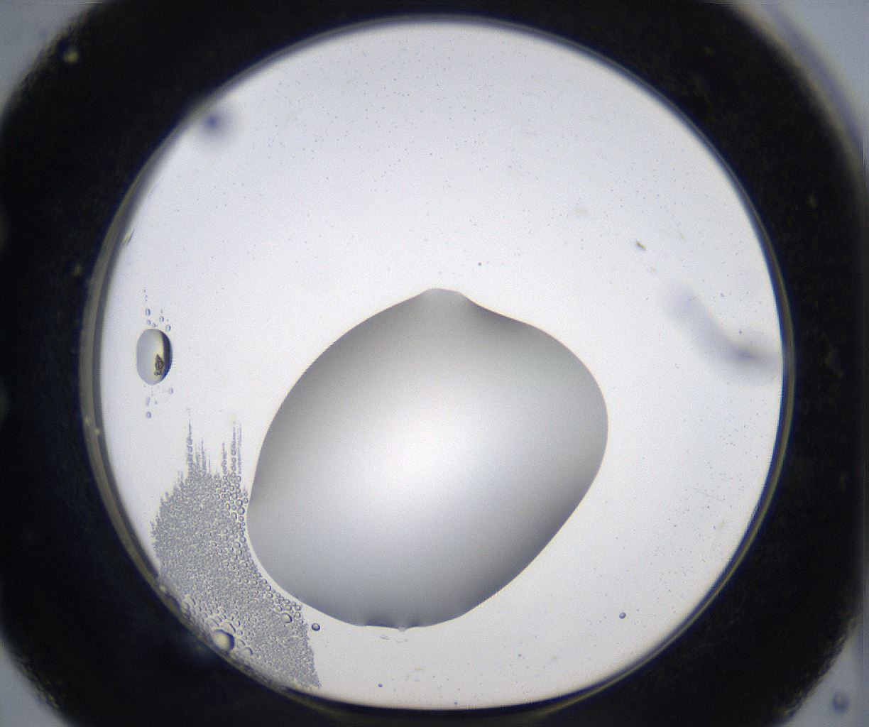 folderID373_plateID2373_batchID11191_wellNum51_profileID1_d1_r175317_ef.jpg