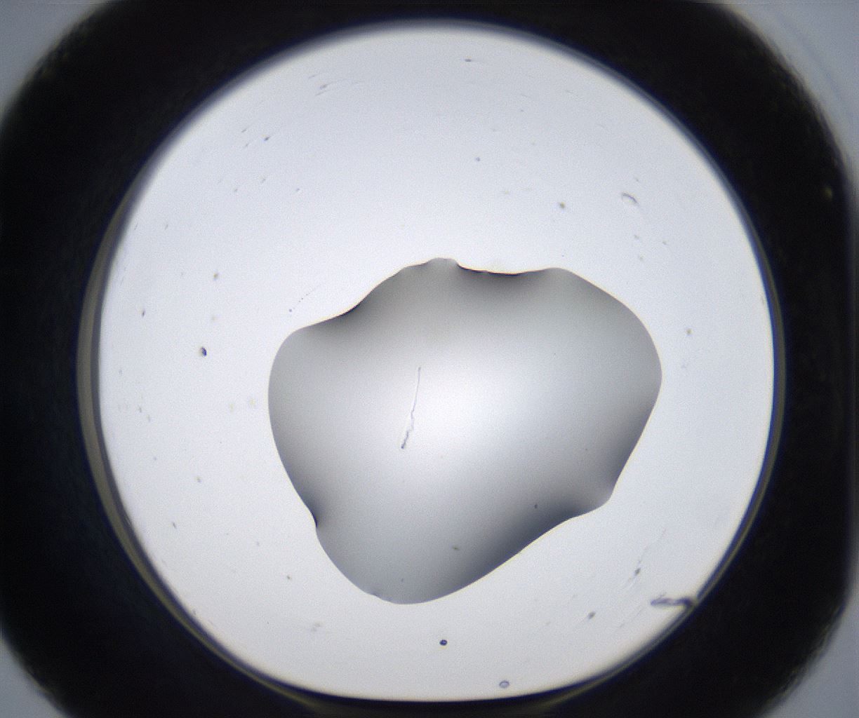 folderID373_plateID2373_batchID11191_wellNum55_profileID1_d1_r175321_ef.jpg