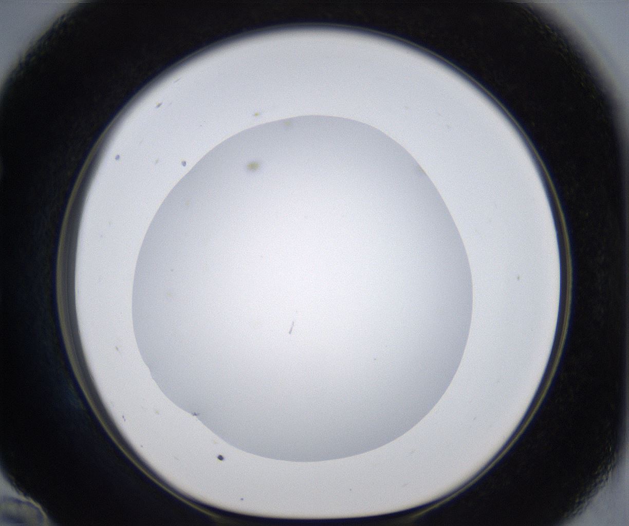 folderID373_plateID2373_batchID11191_wellNum58_profileID1_d1_r175324_ef.jpg