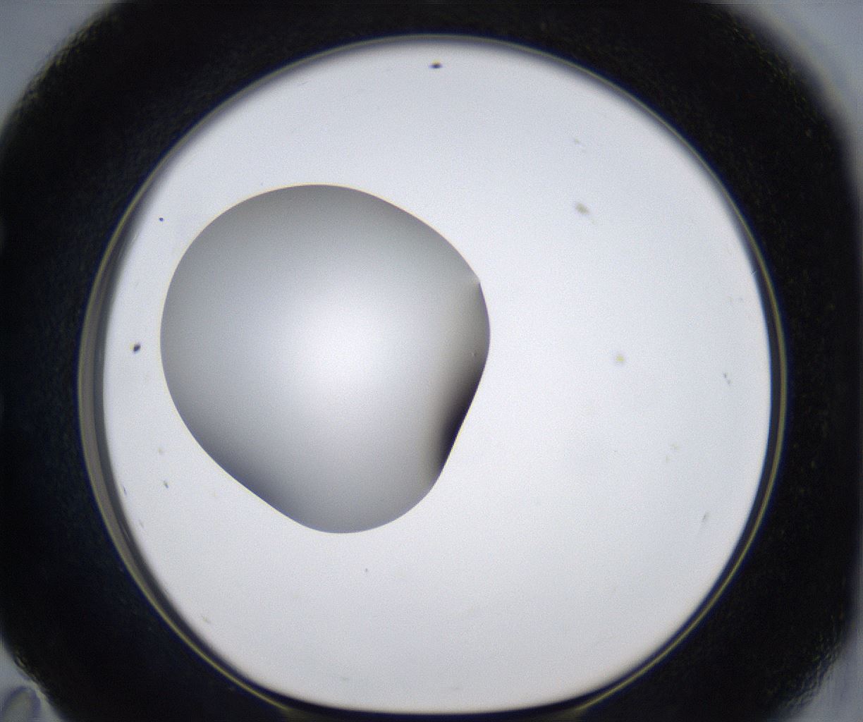 folderID373_plateID2373_batchID11191_wellNum59_profileID1_d1_r175325_ef.jpg