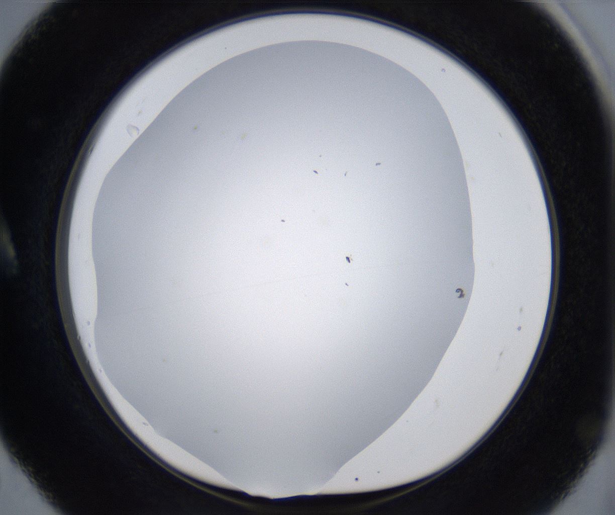 folderID373_plateID2373_batchID11191_wellNum5_profileID1_d1_r175271_ef.jpg