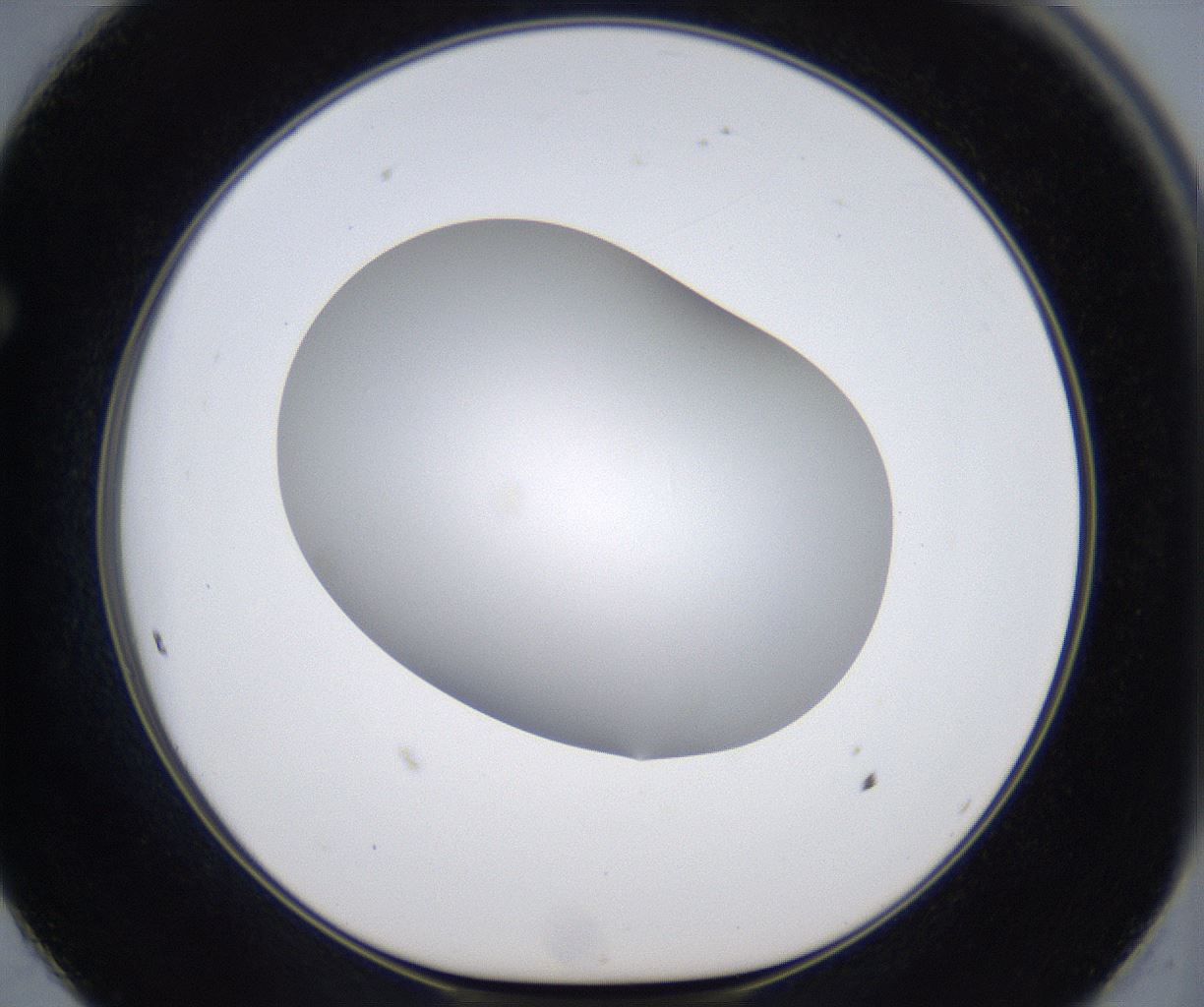 folderID373_plateID2373_batchID11191_wellNum62_profileID1_d1_r175328_ef.jpg