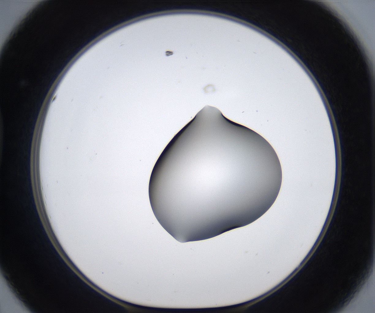 folderID373_plateID2373_batchID11191_wellNum44_profileID1_d1_r175310_ef.jpg