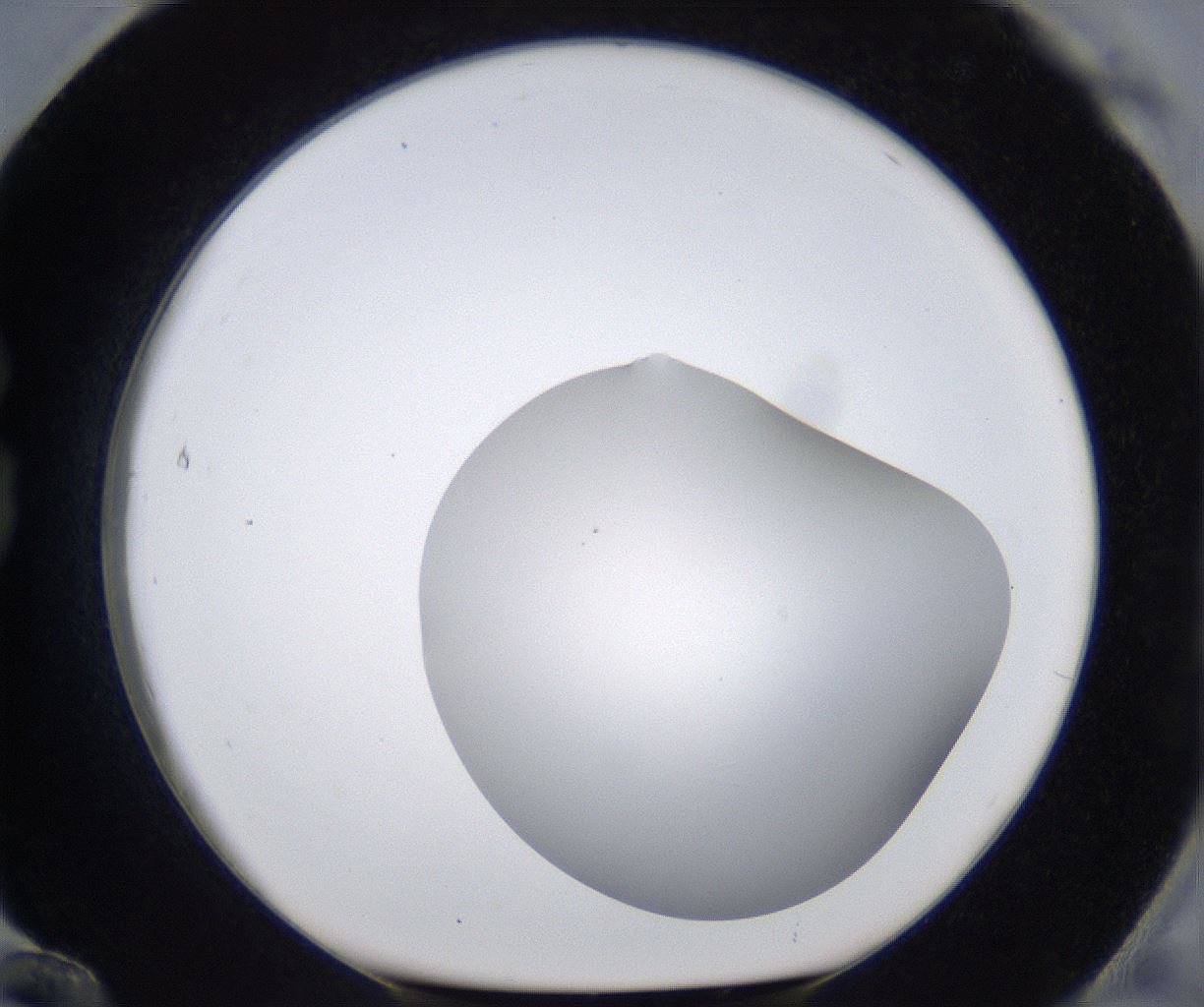 folderID373_plateID2373_batchID11191_wellNum84_profileID1_d1_r175350_ef.jpg